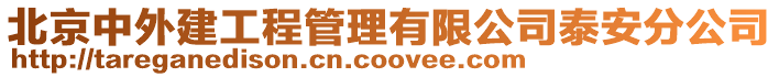 北京中外建工程管理有限公司泰安分公司