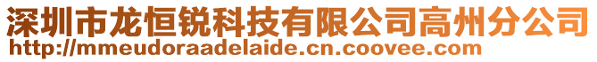 深圳市龍恒銳科技有限公司高州分公司