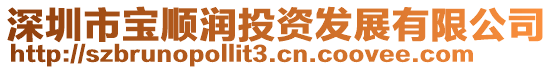 深圳市寶順潤投資發展有限公司