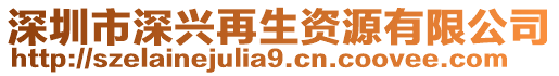 深圳市深興再生資源有限公司