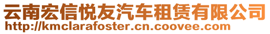 云南宏信悅友汽車租賃有限公司