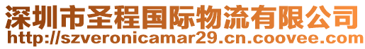 深圳市圣程國際物流有限公司