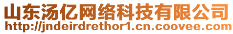 山東湯億網絡科技有限公司