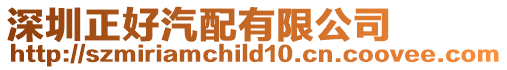 深圳正好汽配有限公司