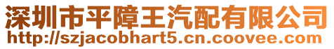 深圳市平障王汽配有限公司