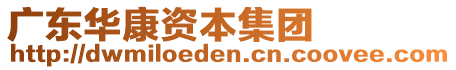 廣東華康資本集團(tuán)