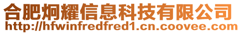 合肥炯耀信息科技有限公司