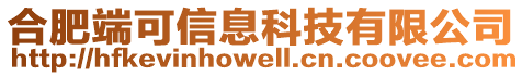 合肥端可信息科技有限公司