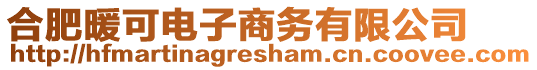 合肥暖可電子商務(wù)有限公司