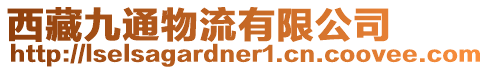 西藏九通物流有限公司