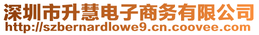 深圳市升慧電子商務(wù)有限公司