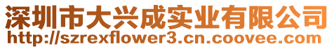 深圳市大興成實業(yè)有限公司