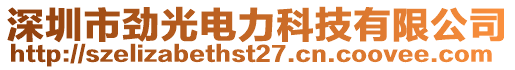 深圳市勁光電力科技有限公司