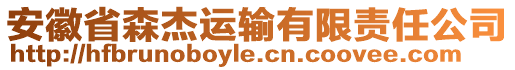 安徽省森杰運輸有限責任公司