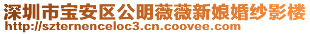 深圳市寶安區公明薇薇新娘婚紗影樓