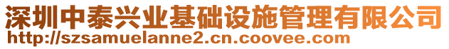 深圳中泰興業(yè)基礎(chǔ)設(shè)施管理有限公司