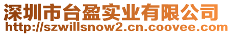 深圳市臺盈實業(yè)有限公司