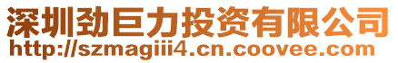 深圳勁巨力投資有限公司