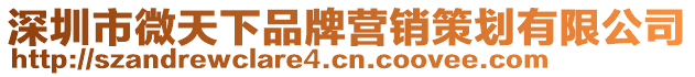深圳市微天下品牌營銷策劃有限公司