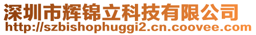 深圳市輝錦立科技有限公司