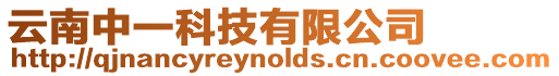 云南中一科技有限公司