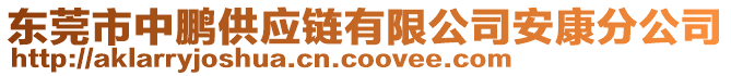 東莞市中鵬供應鏈有限公司安康分公司