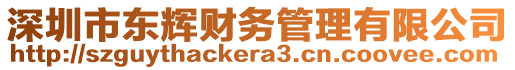 深圳市東輝財(cái)務(wù)管理有限公司