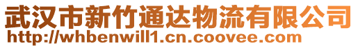 武漢市新竹通達物流有限公司