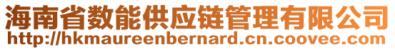 海南省數(shù)能供應(yīng)鏈管理有限公司