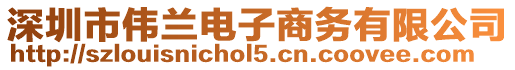 深圳市偉蘭電子商務(wù)有限公司