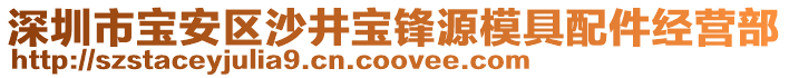 深圳市寶安區(qū)沙井寶鋒源模具配件經(jīng)營部