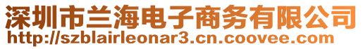 深圳市蘭海電子商務(wù)有限公司