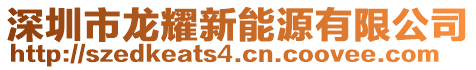 深圳市龍耀新能源有限公司