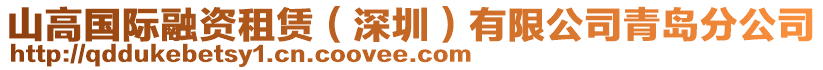 山高國(guó)際融資租賃（深圳）有限公司青島分公司