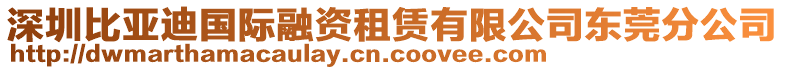 深圳比亞迪國(guó)際融資租賃有限公司東莞分公司