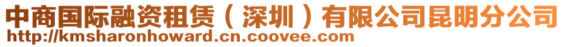 中商國(guó)際融資租賃（深圳）有限公司昆明分公司