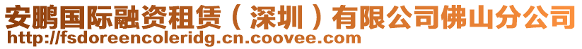 安鵬國(guó)際融資租賃（深圳）有限公司佛山分公司