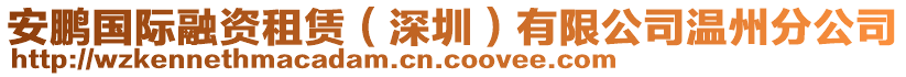 安鵬國際融資租賃（深圳）有限公司溫州分公司