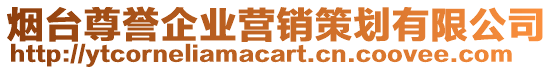 煙臺(tái)尊譽(yù)企業(yè)營(yíng)銷(xiāo)策劃有限公司