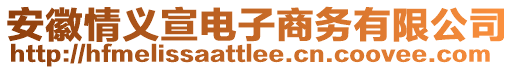 安徽情義宣電子商務有限公司