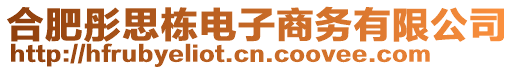 合肥彤思棟電子商務(wù)有限公司