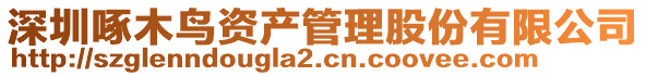 深圳啄木鳥(niǎo)資產(chǎn)管理股份有限公司