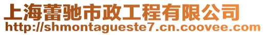 上海蕾馳市政工程有限公司
