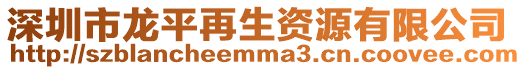 深圳市龍平再生資源有限公司