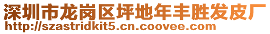 深圳市龍崗區(qū)坪地年豐勝發(fā)皮廠