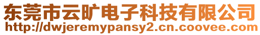 東莞市云曠電子科技有限公司