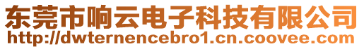 東莞市響云電子科技有限公司