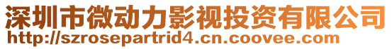 深圳市微動力影視投資有限公司