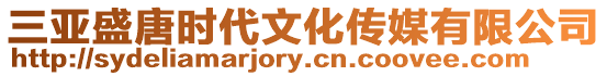 三亞盛唐時代文化傳媒有限公司