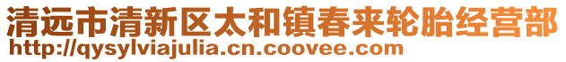 清遠市清新區(qū)太和鎮(zhèn)春來輪胎經營部